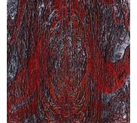 Asfast The Prime Same (Vinyl) 12" Album (Gatefold Cover)