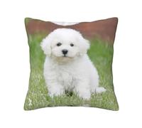 ASFgda Bichon Frise Dog Printed Decorative Throw Pillow Covers,Invisible Zipper Soft Cushion Cases For Home Sofa Bedroom Decor(20"X20")