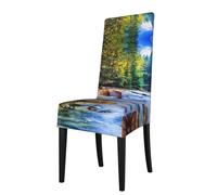 ASFgda Dining Aquarium Background Fish Tank Print Chair Cover,Stretch Kitchen Chair Cover,Washable Dining Seat Covers,Suitable For Home, Hotel,Banque