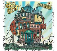Ash Gray - Chicken Wire