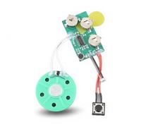 ASHATA Recordable DIY Greeting Card Chip, 60 Seconds Recordable Voice Module for Greeting Card DIY Music Sound Talk Chip Musical Audio Radio Recorder for Creative Gift Boxes,Jewelry Boxes, Crafts