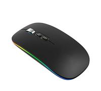 ASHATA Wireless Computer Mouse, 1600DPI Ergonomic Streamlined RGB Gaming Mouse with USB Receiver, 2.4G /BT5.1 Dual Mode, Cordless Gaming Mice for Windows PC Laptop(Single Mode)