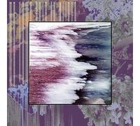 We Came Here To Grieve [VINYL]