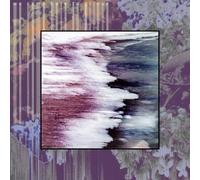 We Came Here To Grieve [VINYL]