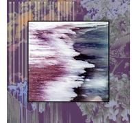 We Came Here To Grieve [VINYL]