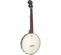 Ashbury AB-15 5 String Travel Banjo, Multicolor