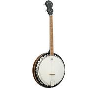 Ashbury AB-35T Tenor Banjo, natural