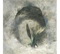 Suma - Ashes