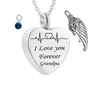 Ashes Necklace with Birthstone, Stainless Steel Pendant Necklace Birthstone Wing Memorial Locket Pendant Men Women with Funnel Kit & Bag