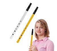 Asheyya 2 Pcs Tin Whistle D, Six Hole Metal Penny Whistle for Instrument Beginner Traditional Celtic Music