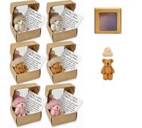 Asheyya 6 Pcs My Little Worry Bear in a Box, Mini Plush Pocket Bear with Cards Positive Gift for Friends Family