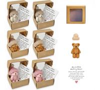 Asheyya 6 Pcs My Little Worry Bear in a Box, Mini Plush Pocket Bear with Cards Positive Gift for Friends Family