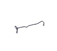 ASHIKA 106-02-229 Anti roll bar