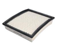 ASHIKA 20-00-010 Air filter