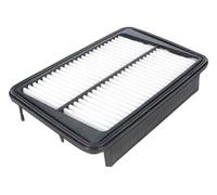 ASHIKA 20-00-017 Air filter
