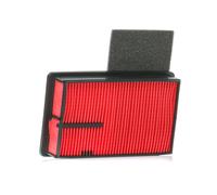 ASHIKA 20-00-MC02 Air filter