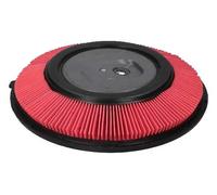 ASHIKA 20-01-121 Air filter