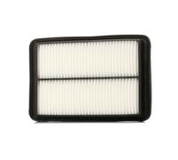 ASHIKA 20-01-149 Air filter
