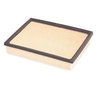 ASHIKA 20-02-209 Air filter