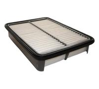 ASHIKA 20-02-250 Air filter