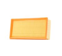 ASHIKA 20-02-253 Air filter