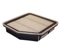 ASHIKA 20-02-260 Air filter