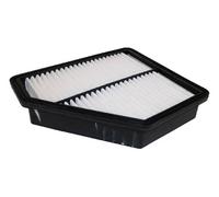 ASHIKA 20-0H-H25 Air filter