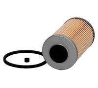 ASHIKA 30-01-136 Fuel filter