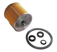ASHIKA 30-ECO090 Fuel filter