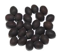 ASHIRWAD Kamal Gatta Beads Lotus Seeds -100% Original - for Lakshmi Puja and Other Spirituality (11)