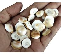 ASHIRWAD Original Gomti Chakra Indian for Pooja from Gomati River in India Sakkaram for Astrological Use (21 pcs GC1)