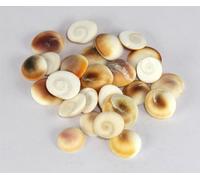 ASHIRWAD Original Gomti Chakra Indian for Pooja from Gomati River in India Sakkaram for Astrological Use (21 pcs GC3)