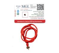 ASHIRWAD Original Nepali Certified Rudraksha Mala Natural Himalayan Genuine Rosary Tibetan Garland Necklace Bracelat for Wearing and Japa Mala 5 Mukhi Mala, 108 Beads Mala | AE000146-00, 6mm-10mm