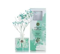 Ashleigh & Burwood In Bloom Aqua White Tea & Basil Scent Reed Diffuser