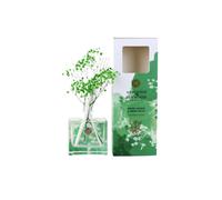 Ashleigh & Burwood Life In Bloom Floral Reed Diffuser - Winter Jasmine & Green Leaves
