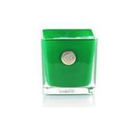 Ashleigh & Burwood Life In Bloom Scented Jar Candle - Winter Jasmine & Green Leaves