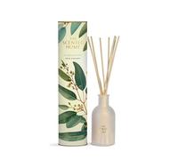 Ashleigh & Burwood Reed Diffuser Air Freshener for Home | Eucalyptus & Vetiver Fragrance Oil Diffuser | Lasts up to 3 Months | 150ml