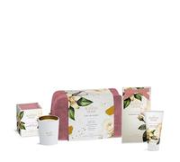 Ashleigh & Burwood Scented Gift Set | Rose & Vanilla Musk | Votive Scented Candle, Hand Cream & Scented Sachet | Luxury Gift for Her | Home Fragrance & Skincare