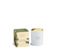 Ashleigh & Burwood Scented Home Glass Candle - Fir & Cedarwood