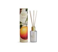 Ashleigh & Burwood Scented Home Reed Diffuser 150Ml - Winter Spice & Orange