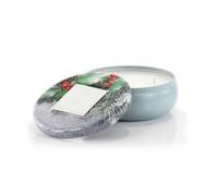 Ashleigh & Burwood Scented Home Scented Candle - Frosted Holly