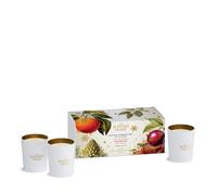 Ashleigh & Burwood Scented Home Votive Candle Gift Set