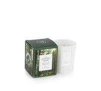 ASHLEIGH & BURWOOD White Cedar & Bergamot Scented Jar Candle up to 14 Hours for The Miniature Votive