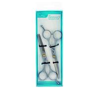 ASHLEY 2-Piece Scissor Set, Silver