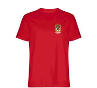Ashley Cole World Cup Sticker Men's T-Shirt - Red / 3XL