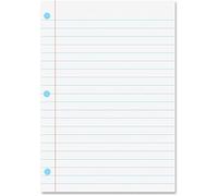 Ashley Dry Erase Notebook Paper Magnet