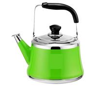 ASHSDI Kettle for Gas Hob, Stainless Steel Stove Top Whistling Kettle Tea Pot Ergonomic Handle Induction Cooker Gas Stove Universal Stove Induction Kettle(Grün,3L)