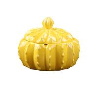 Ashtray Ceramic Creative Cute With Lid,Windproof For Indoor And Outdoor Use,Portable Modern For Smokers,Tabletop