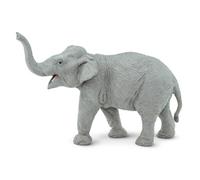 Asian Elephant