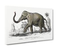 Asian Elephant By Charles D' Orbigny Vintage Canvas Wall Art Print Ready to Hang, Framed Picture for Living Room Bedroom Home Office Décor, 20x14 Inch (50x35 cm)